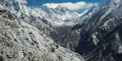 道法自然——道教核心智慧的现代解读